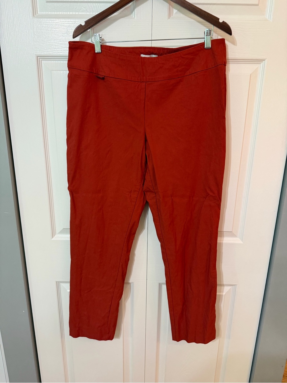Peck & Peck Stretchy Pants in Rust